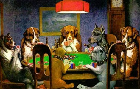  Top  Sase LECTII DE VIATA, de invatat de la cel mai bun prieten al omului