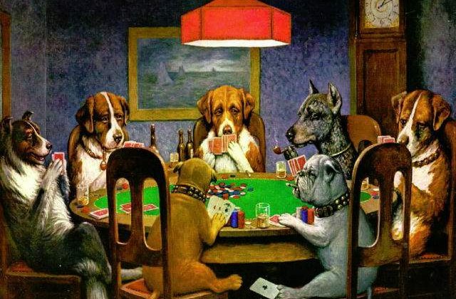 Sase LECTII DE VIATA, de invatat de la cel mai bun prieten al omului