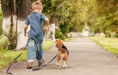  Top  Zece fotografii EMOTIONANTE care definesc prietenia incredibila dintre copii si catei