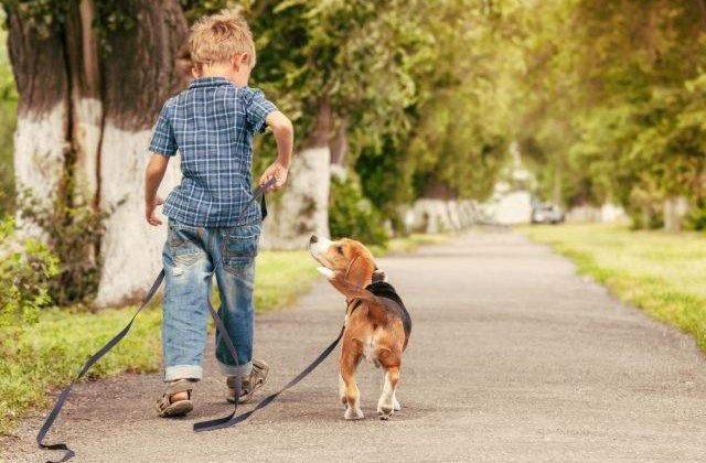 Zece fotografii EMOTIONANTE care definesc prietenia incredibila dintre copii si catei