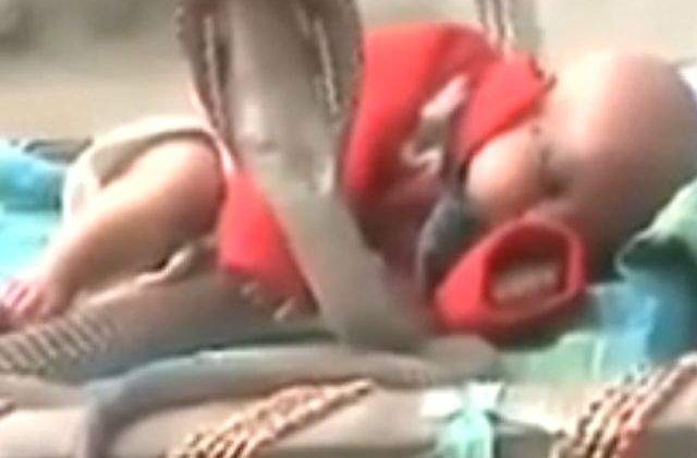 [VIDEO] Socant! Patru COBRE protejeaza un bebelus in timp ce doarme