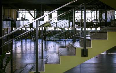 Un gigant american vine în...