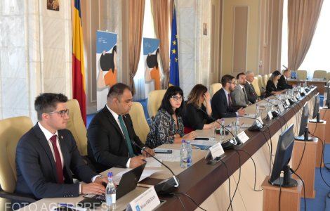 Ședință de guvern: Analiza proiectului de ordonanță privind susținerea de reduceri ale prețurilor la benzină și motorină, pe agenda aleșilor