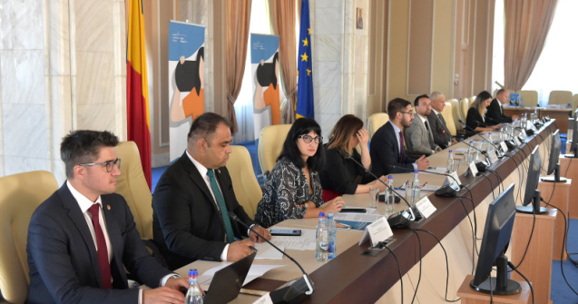 Ședință de guvern: Analiza proiectului de ordonanță privind susținerea de reduceri ale prețurilor la benzină și motorină, pe agenda aleșilor