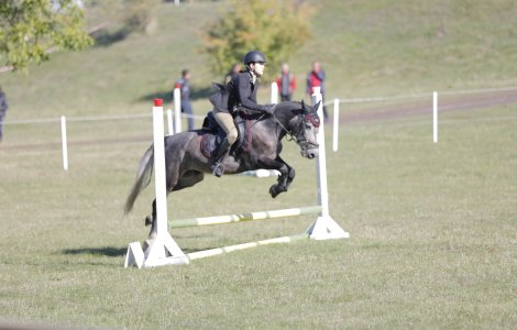 Karpatia Horse Show 2022: șapte premii pentru România, 15 mii de spectatori și o atmosferă chic!
