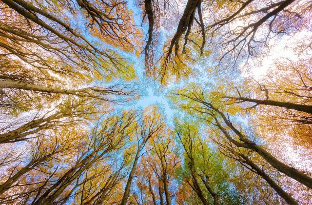 Prognoza meteo ANM pentru vineri, 30 septembrie. Vreme caldă &icirc;n toată țara 