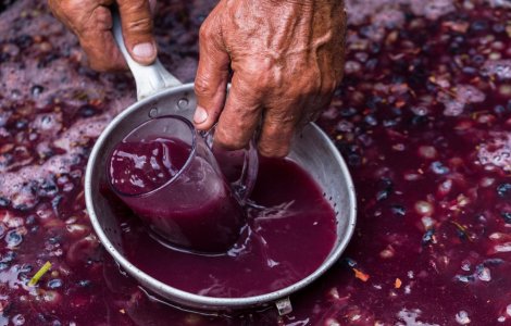 Mustul, băutură sezonului de toamnă. Detaliul care poate afecta organismul