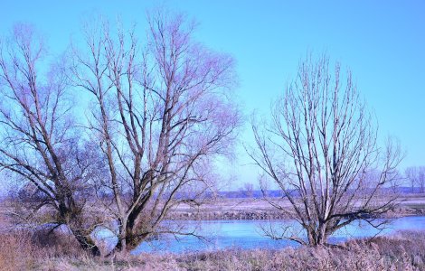 Prognoza meteo ANM pentru luni, 3 octombrie. Vremea se răcește