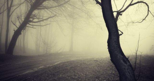  Top   Foto  TOP 10 cele mai BIZARE fenomene ale naturii