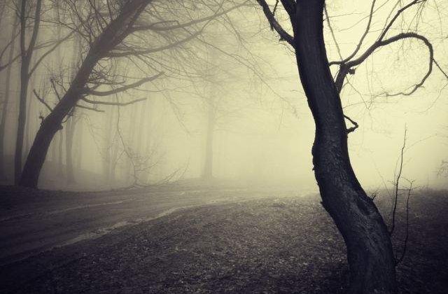 [FOTO] TOP 10 cele mai BIZARE fenomene ale naturii