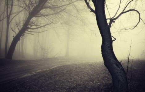  Top   Foto  TOP 10 cele mai BIZARE fenomene ale naturii