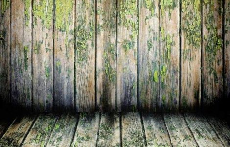  Top  10 lucruri pe care nu ti-ai dori sa le stii despre lumea in care traim