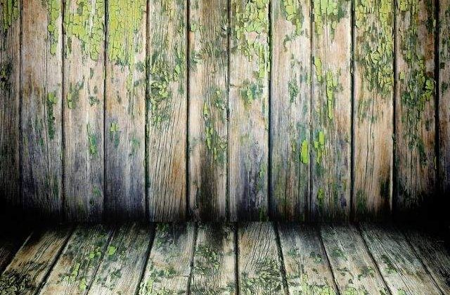 Zece lucruri pe care nu ti-ai dori sa le stii NICIODATA despre lumea in care traim