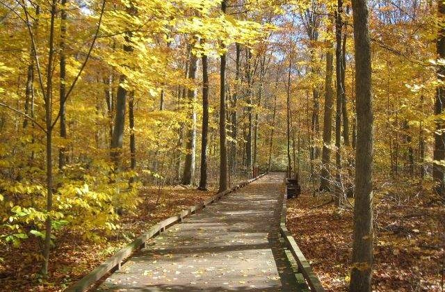 Prognoza meteo pentru urmatoarele trei luni: Cum va fi vremea in aceasta toamna