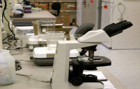 8,2% din ADN-ul uman realizeaza functii importante in organism