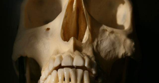 Prima groapa comuna, descoperita de autoritati in estul Ucrainei