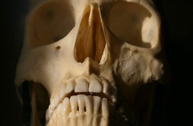 Prima groapa comuna, descoperita de autoritati in estul Ucrainei