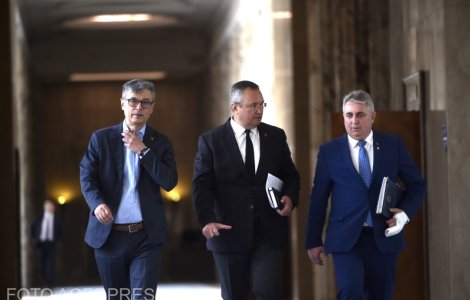 OUG privind plafonarea prețului la 500 de lei pentru un metru cub de lemne de foc, pe agenda ședinței de guvern