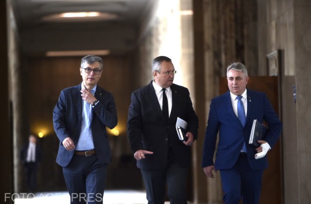 OUG privind plafonarea prețului la 500 de lei pentru un metru cub de lemne de foc, pe agenda ședinței de guvern