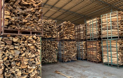 Prețul lemnelor de foc va fi plafonat. Cât vor costa acestea