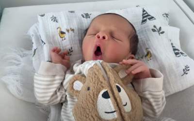 Părinții din Anglia,...