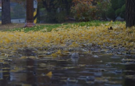 Prognoza meteo ANM pentru weekendul 8-9 octombrie. Cum va fi vremea în țară