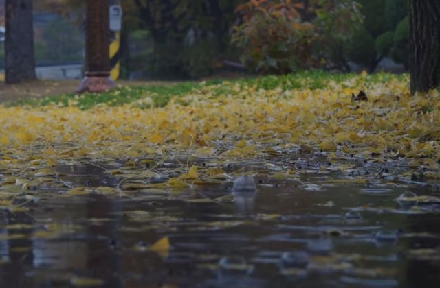 Prognoza meteo ANM pentru weekendul 8-9 octombrie. Cum va fi vremea &icirc;n țară