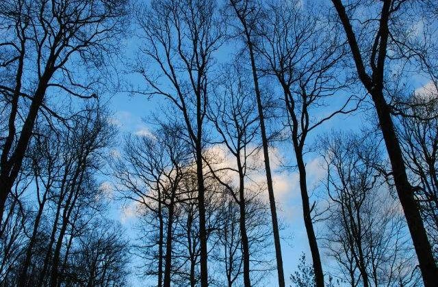 Prognoza meteo: Vom scapa de PLOI? Cum va fi vremea in urmatoarele doua saptamani