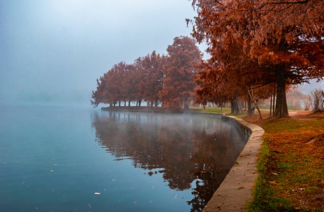 ANM: Cod galben de ceață densă &icirc;n localitățile din nouă județe