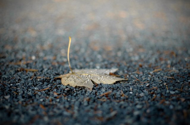 Prognoza meteo ANM pentru miercuri, 12 octombrie. Temperaturile mai scad