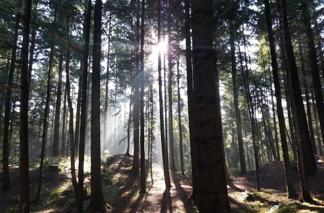 Prognoza meteo pentru marți, 18 octombrie. Temperaturile cresc ușor