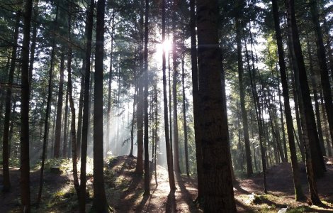 Prognoza meteo pentru marți, 18 octombrie. Temperaturile cresc ușor