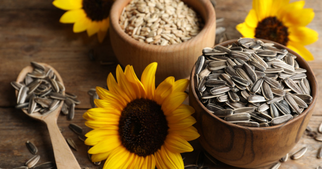 Semințe de floarea-soarelui. Moduri de consum pentru a ne menține în formă