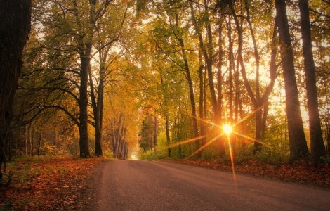 Prognoza meteo ANM pentru marți, 25 octombrie