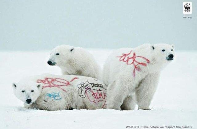 [FOTO] Campanii SOCANTE pentru protejarea animalelor de OAMENI. Imagineaza-ti ca este "puiul" tau!