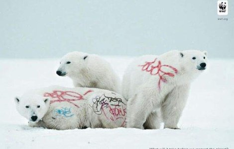  Top   Foto  Campanii SOCANTE pentru protejarea animalelor de OAMENI