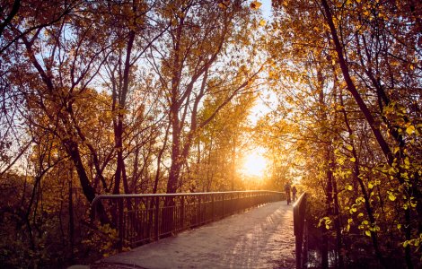 Prognoza meteo ANM pentru joi, 27 octombrie. Vreme caldă