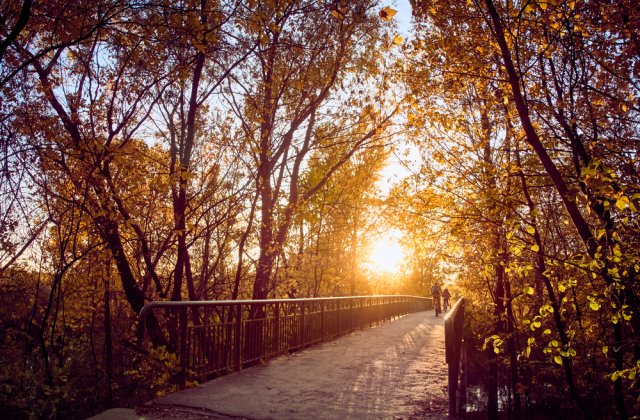 Prognoza meteo ANM pentru joi, 27 octombrie. Vreme caldă 