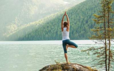 Cum să ai un stil de viață...