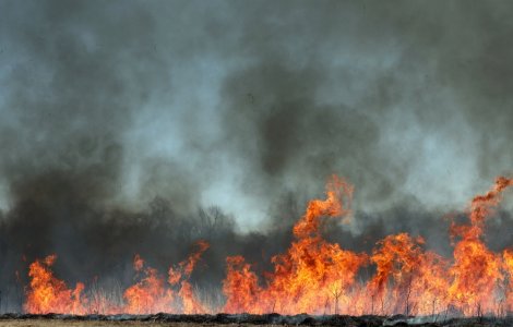 Incendiu de proporții în Delta Dunării. Pompierii nu pot interveni