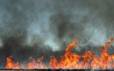 Incendiu de proporții în...