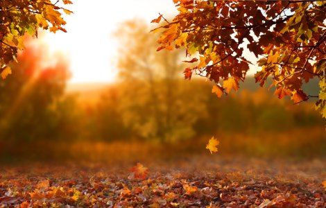 Prognoza meteo ANM pentru vineri, 28 octombrie. Vreme mai caldă decât ar fi normal