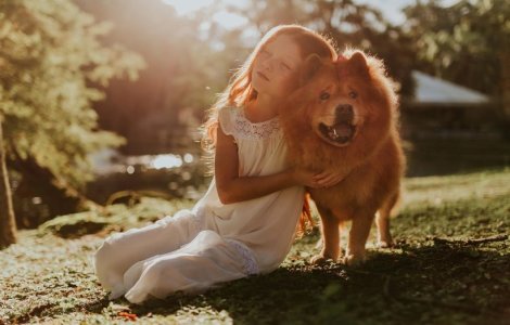 Rase de câini pentru copii