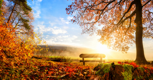 Prognoza meteo ANM pentru marți, 1 noiembrie. Vremea va fi nefiresc de caldă