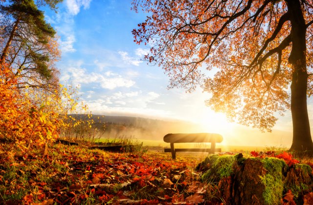 Prognoza meteo ANM pentru marți, 1 noiembrie. Vremea va fi nefiresc de caldă