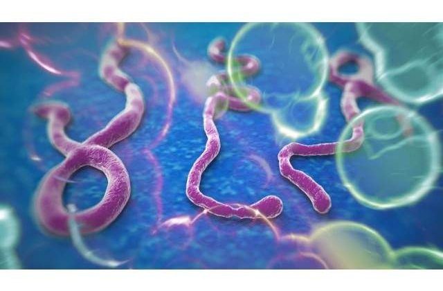 Virusul UCIGAS a ajuns in ROMANIA? De unde este primul suspect de Ebola