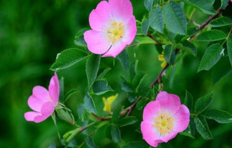  Top  Prognoza meteo: Starea vremii in urmatoarele doua saptamani