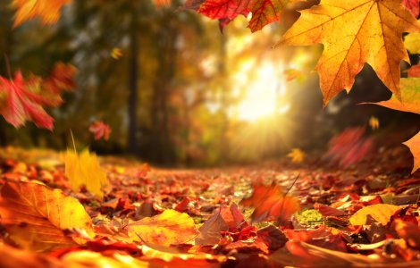 Prognoza meteo pentru vineri, 4 noiembrie. Cum va fi vremea la final de săptămână