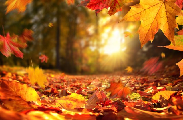 Prognoza meteo pentru vineri, 4 noiembrie. Cum va fi vremea la final de săptăm&acirc;nă