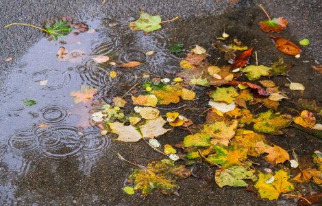 Prognoza meteo - 7 noiembrie 2022. Cer înnorat și ploi în mare parte a țării